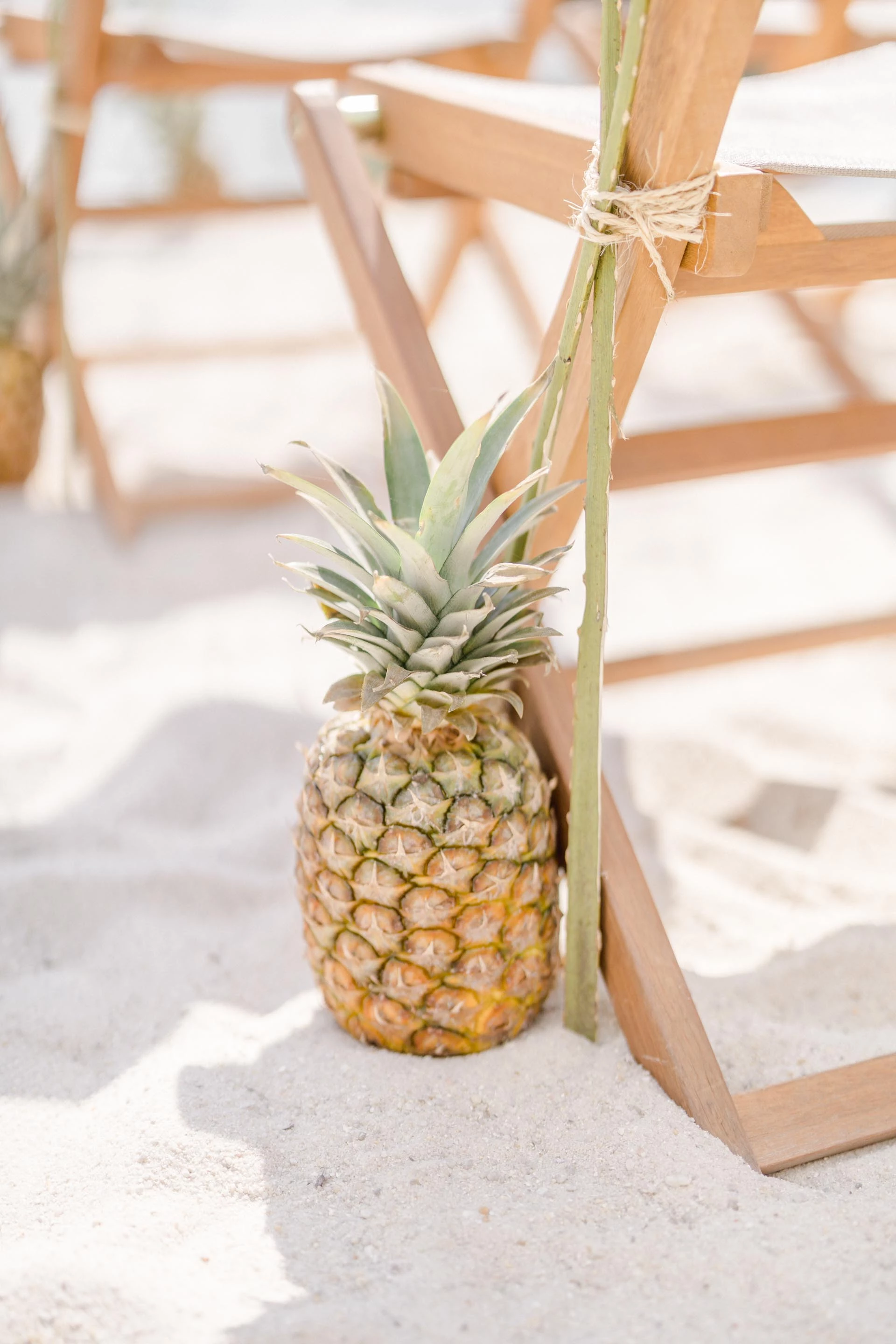 ananas fruit palmiers gris marron
